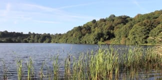Meditatie: loslaten Yoga natuur